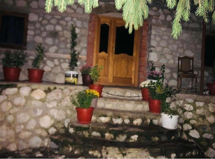 Guest House Hyrmet Demushi Valbone Ngoại thất bức ảnh