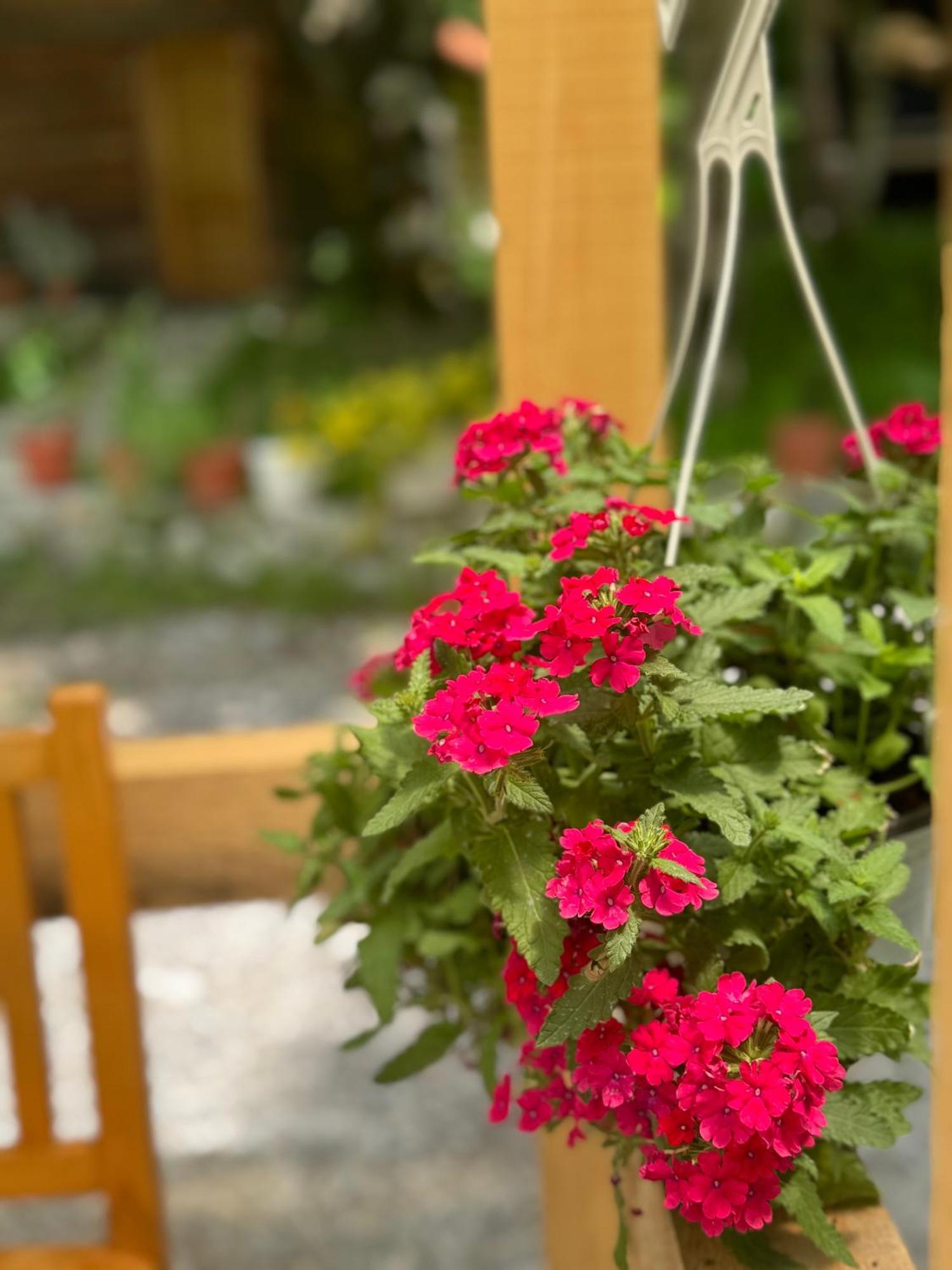 Guest House Hyrmet Demushi Valbone Ngoại thất bức ảnh